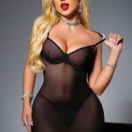 Seductive Sheer Mesh Chemise